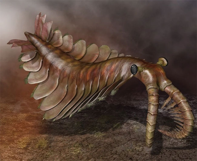 Khám phá sinh vật đáng sợ Anomalocaris: kẻ săn mồi của đại dương