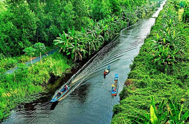 Vẻ đẹp hoang sơ của sông Trẹm ở Cà Mau