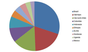 Brazil dẫn đầu thế giới trong sản xuất cà phê