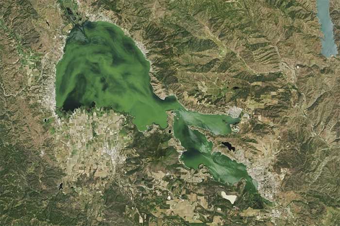 Hiện tượng hồ Clear Lake ở California chuyển màu kỳ lạ